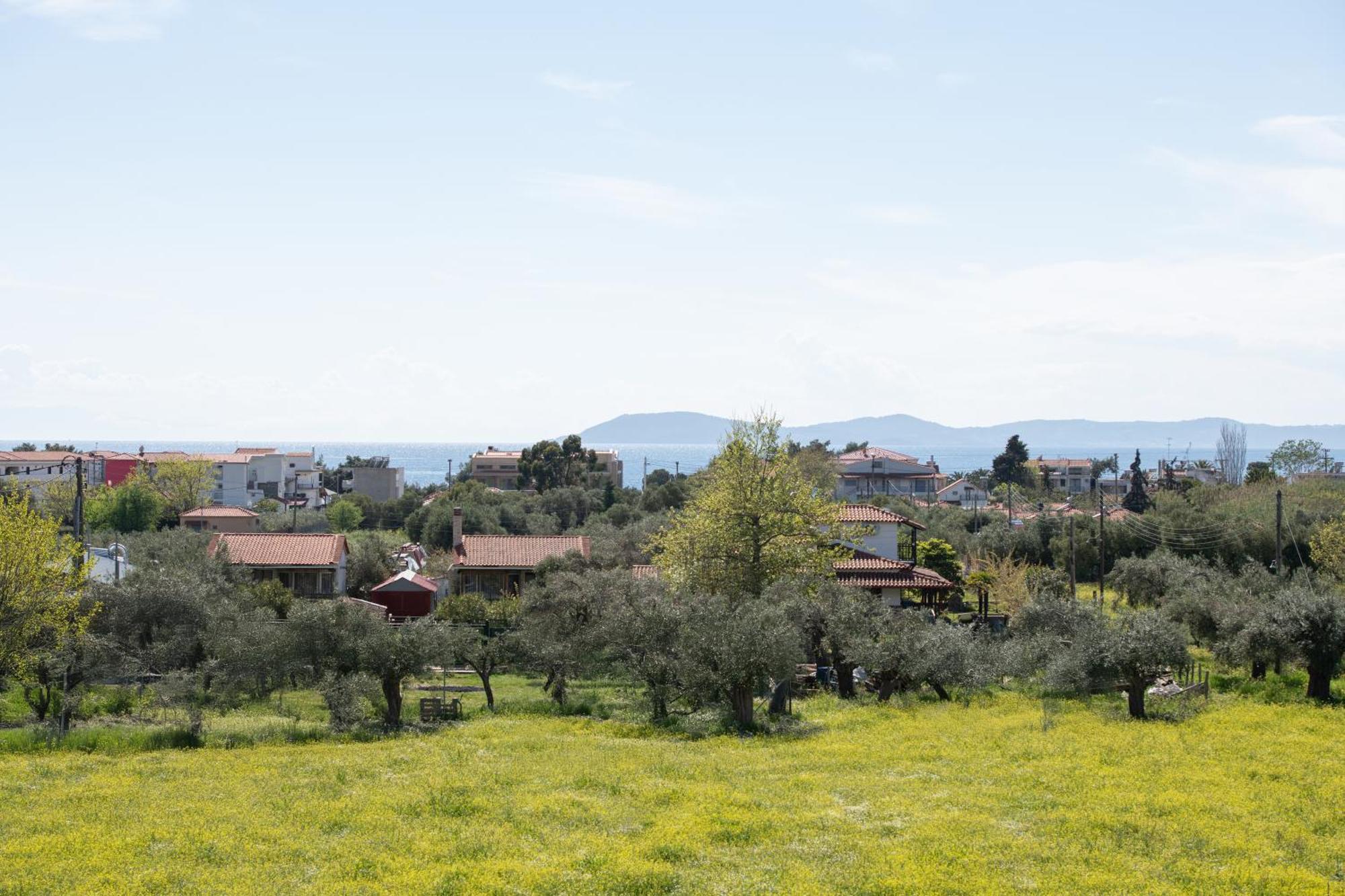 Villa Miranda Roshi Τορώνη Εξωτερικό φωτογραφία